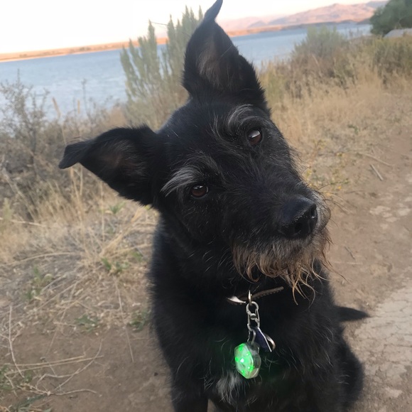 Meet your Posher, Christine - Picture 7 of 10